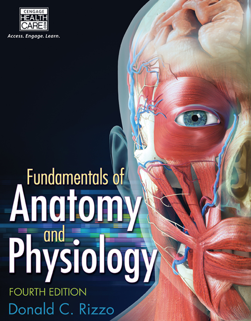 anatomy and physiology中文